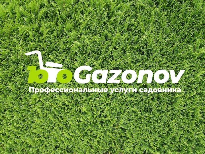 Лендинг сервиса садовых услуг 100gazonov.com.ua
