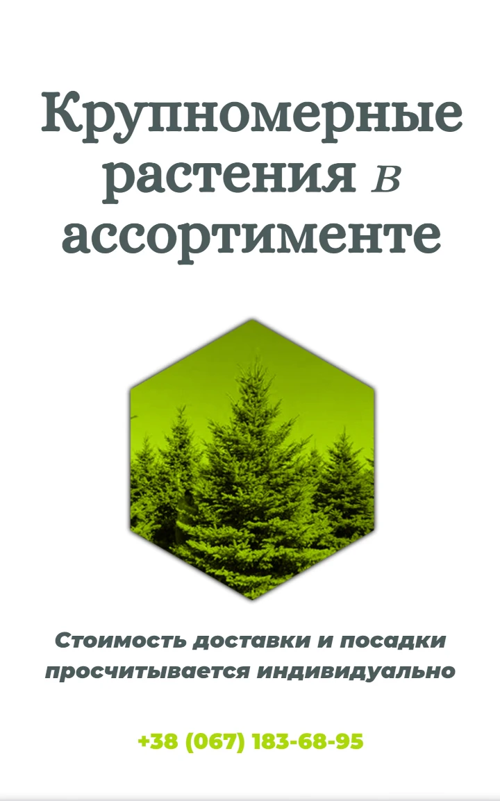 Информ баннер лендинга питомника растений