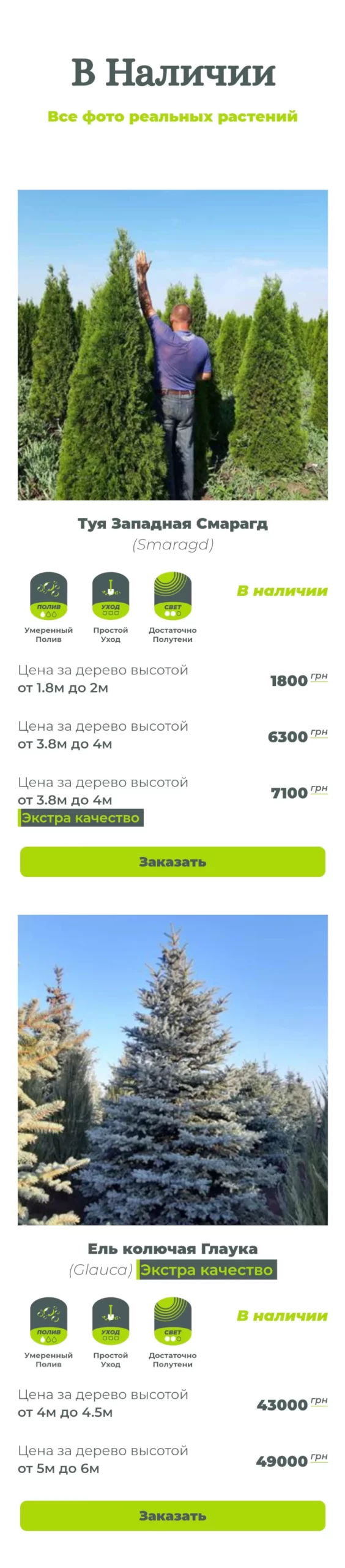 Каталог товаров лендинга питомника растений