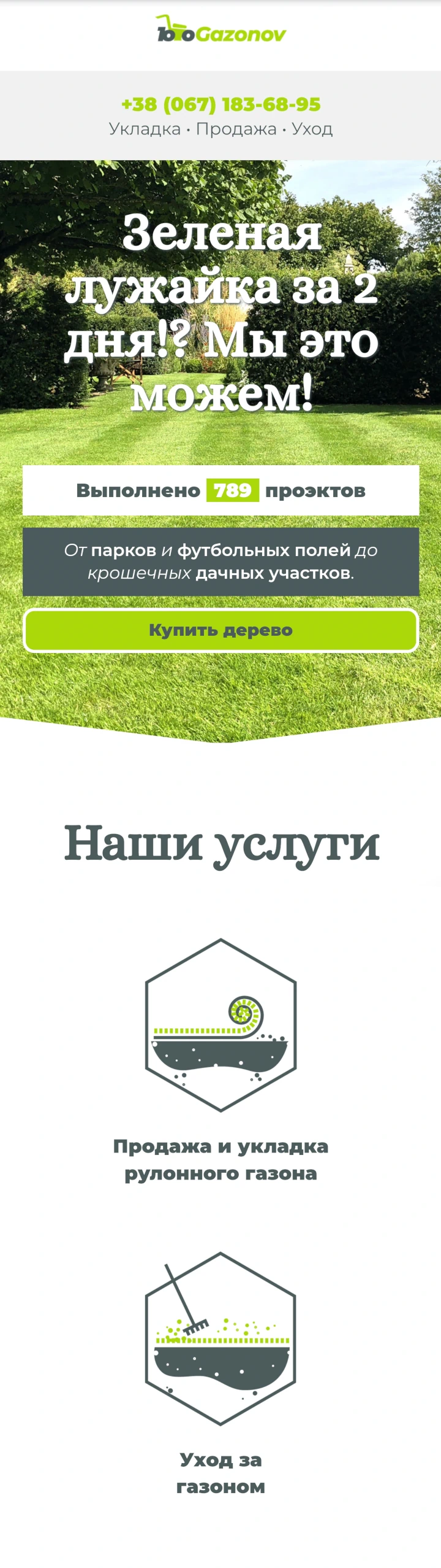 Главный лендинг блок с векторным списком услуг