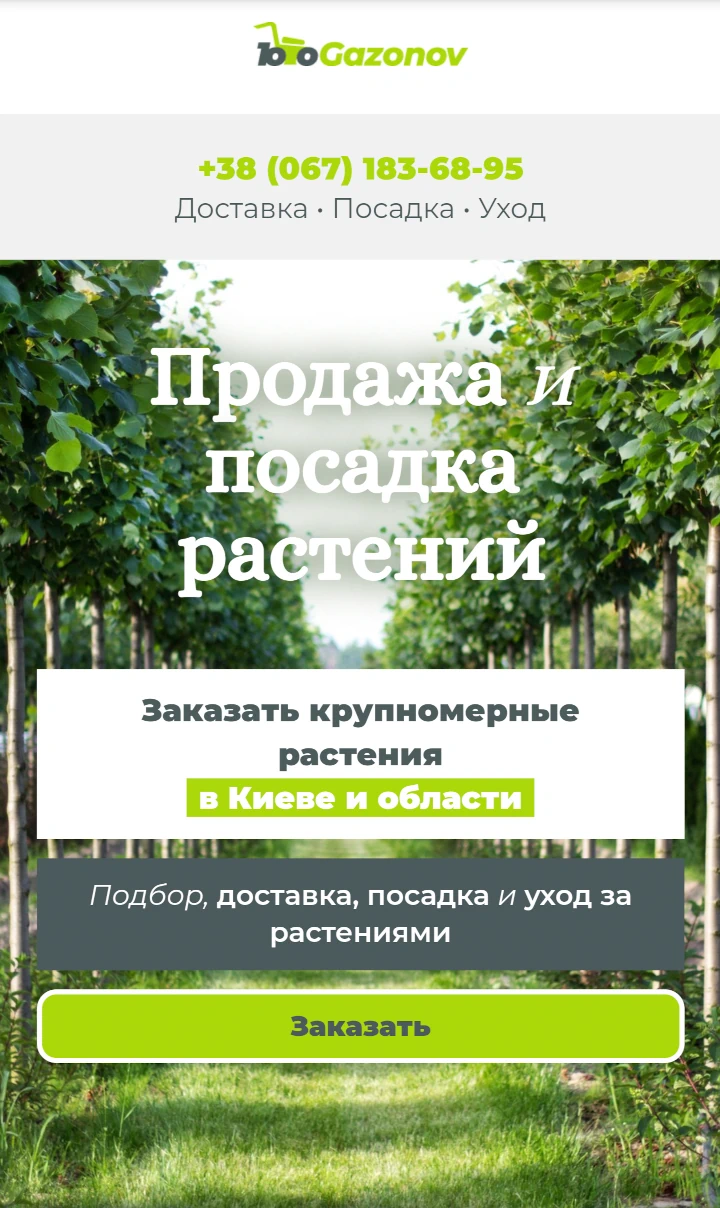 Главный баннер второй страницы Landig Page