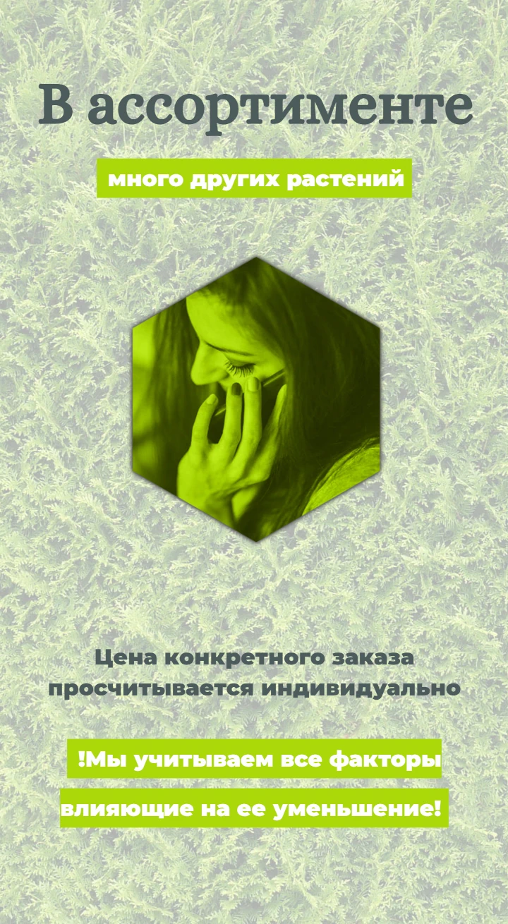 Информ баннер лендинга питомника растений