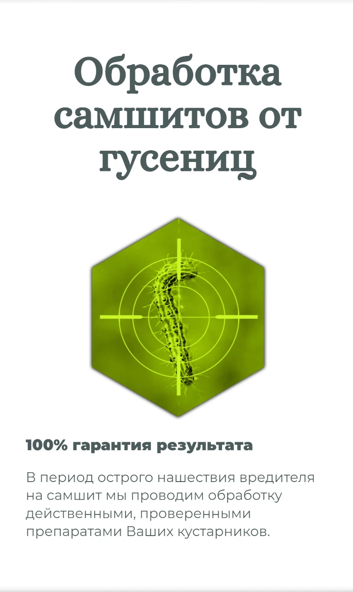Лендинг баннер обработка самшита от гусениц